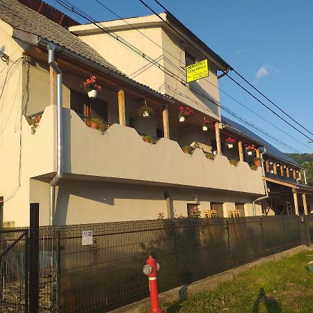 Pensiunea Casa Maria Felsővisó Kültér fotó